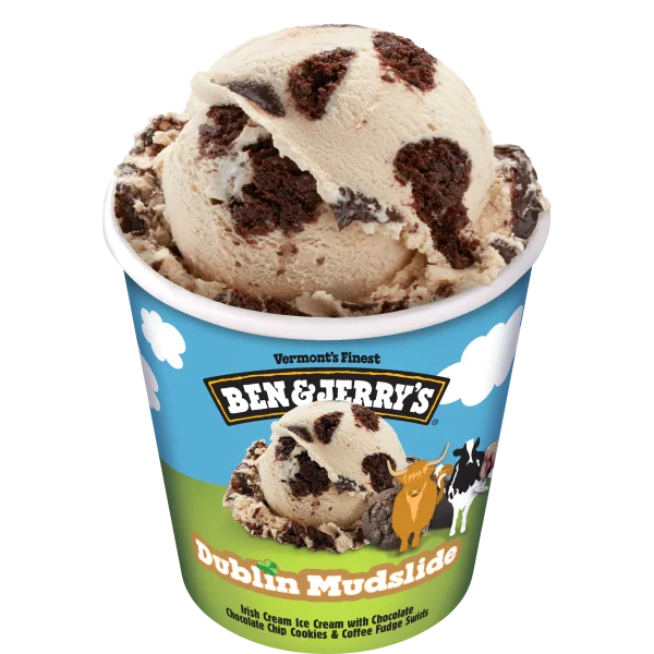 Ben & Jerry Dublin Mudslide 8x16Oz (473ml)