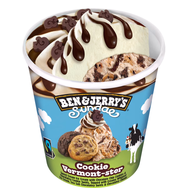 Ben & Jerry UK Sundae Cookie Vermont-ster Ice Cream 8x465ml