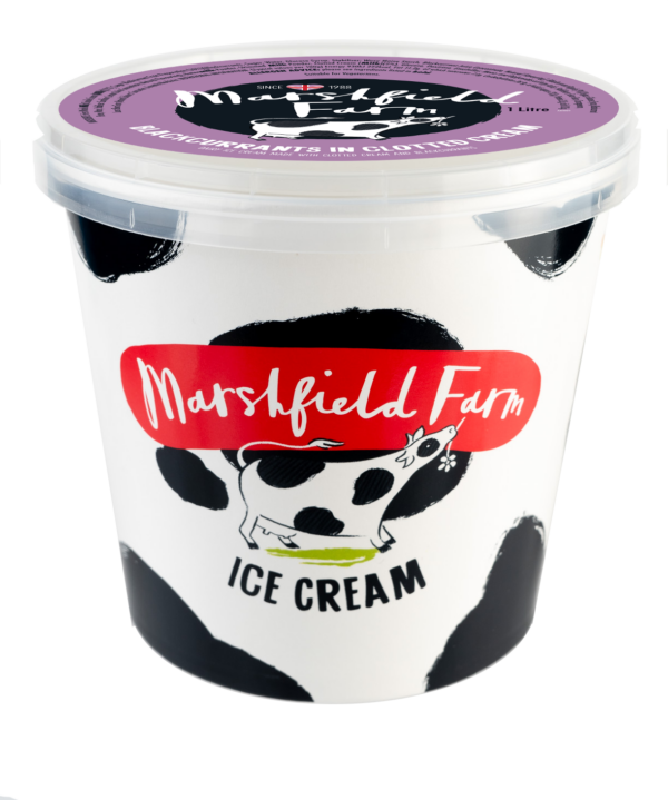 Marshfield Blackcurrant in Clotted Cream 4 x 1 Litre