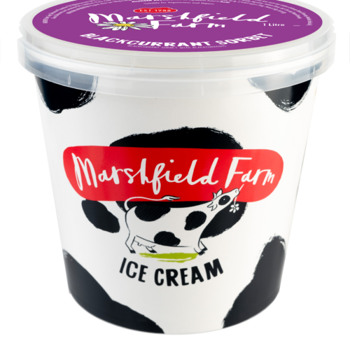 1 Litre 2024 Blackcurrant Sorbet Marshfield Blackcurrant Sorbet 4 x 1 Litre