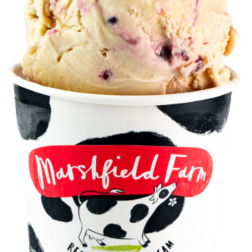 Blackcurrants in Cream 125ml Marshfield Blackcurrants in Cream 12 x 125ml