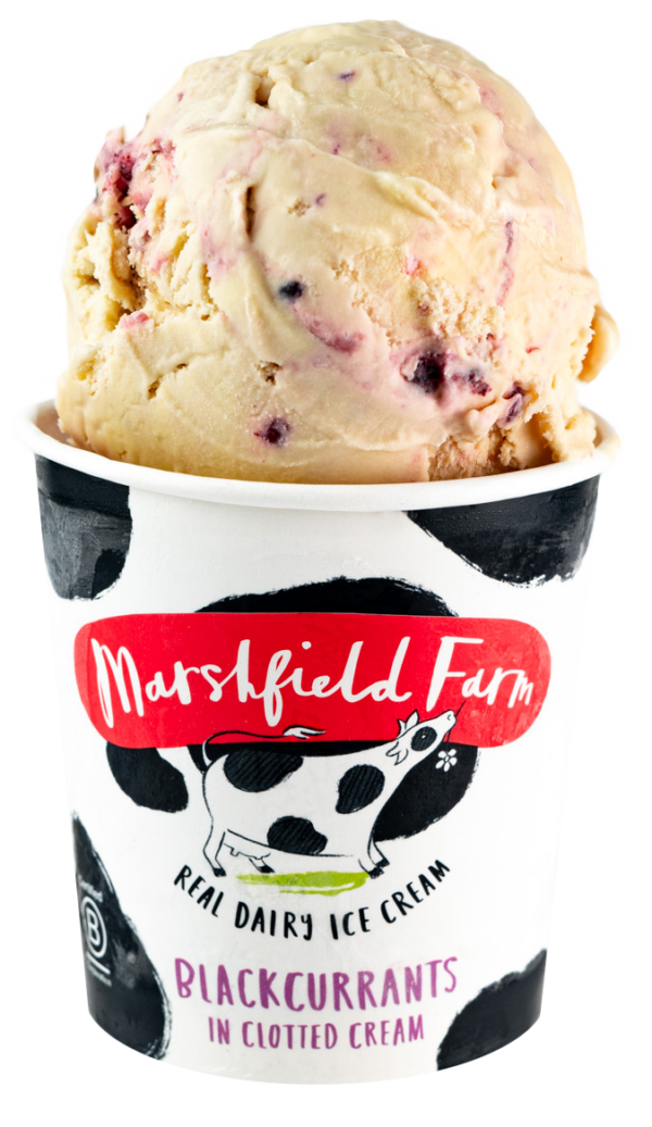 Marshfield Blackcurrants in Cream 12 x 125ml
