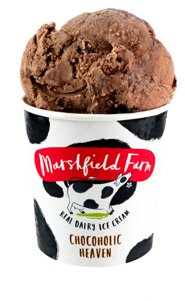 Marshfield Chocoholic Heaven 12 x 125ml