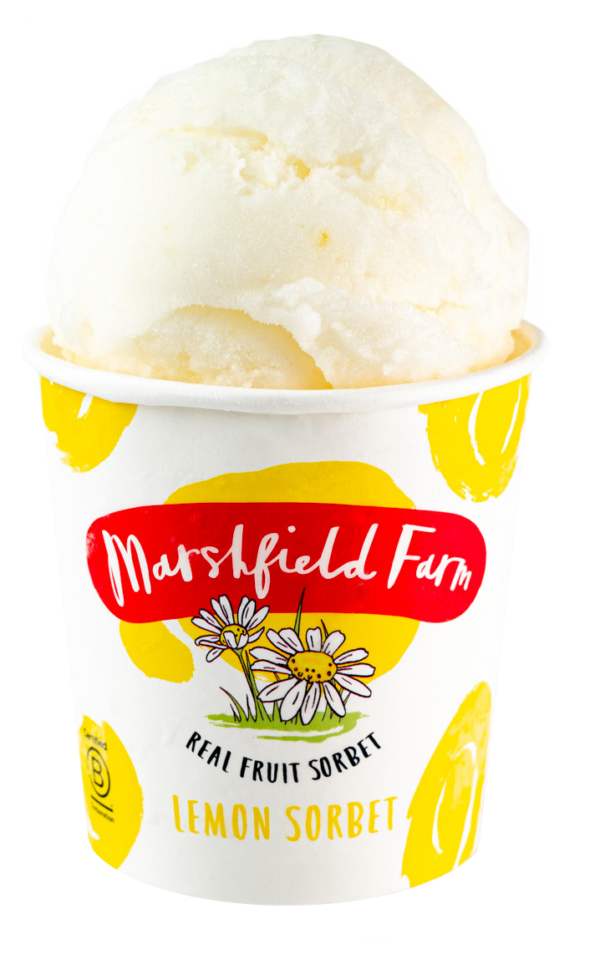 Marshfield Lemon Sorbet 12 x 125ml