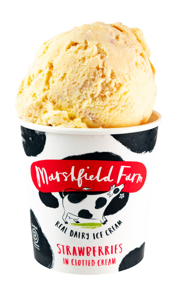 Marshfield Strawberries in Clotted Cream 12 x 125ml