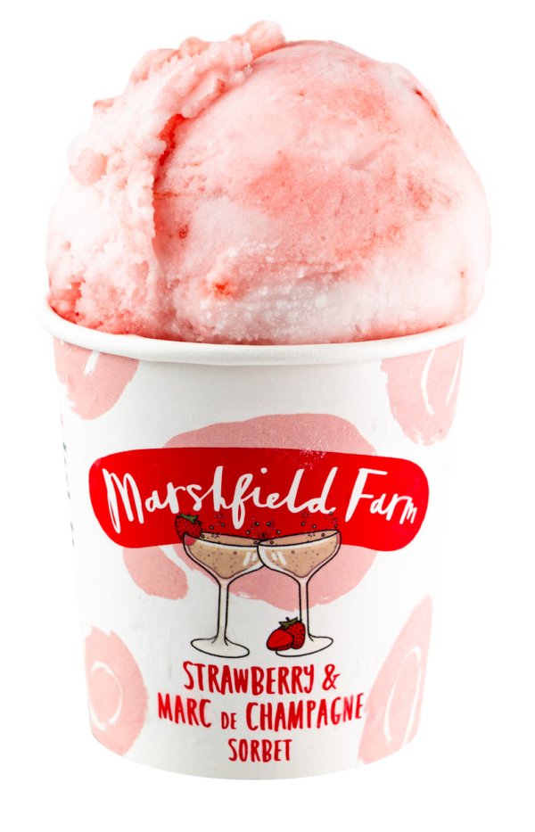 Marshfield Strawberry & Champagne Sorbet 12 x 125ml